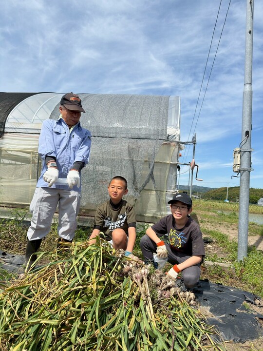 にんにく(2)